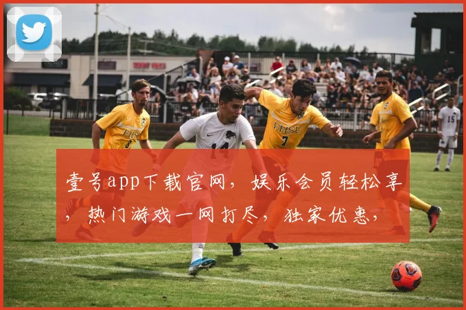 壹号app下载官网，娱乐会员轻松享，热门游戏一网打尽，独家优惠，快来体验
