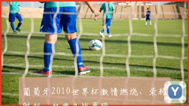 葡萄牙2010世界杯激情燃烧，荣耀时刻，经典之战再现